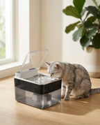 Silver tabby drinking from the Hydra stainless fountain