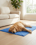 Glacier cooling mat 2-pack for multi-pet homes