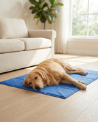 Glacier cooling mat 2-pack for multi-pet homes